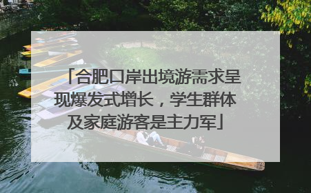 合肥口岸出境游需求呈现爆发式增长，学生群体及家庭游客是主力军