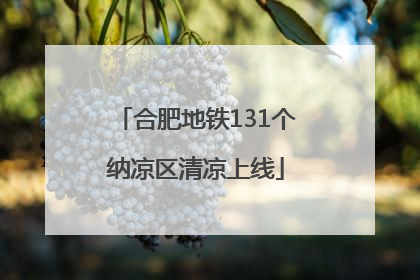 合肥地铁131个纳凉区清凉上线