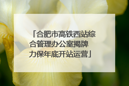合肥市高铁西站综合管理办公室揭牌 力保年底开站运营