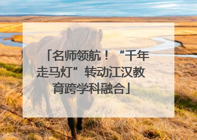 名师领航！“千年走马灯”转动江汉教育跨学科融合