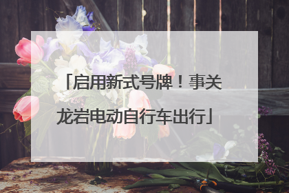 启用新式号牌！事关龙岩电动自行车出行