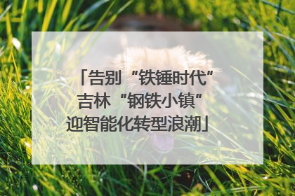 告别“铁锤时代” 吉林“钢铁小镇”迎智能化转型浪潮
