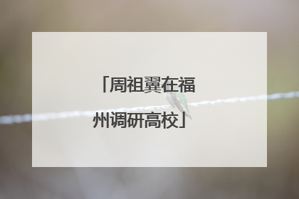 周祖翼在福州调研高校