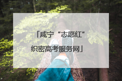 咸宁“志愿红”织密高考服务网
