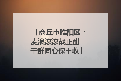 商丘市睢阳区：麦浪滚滚战正酣 干群同心保丰收