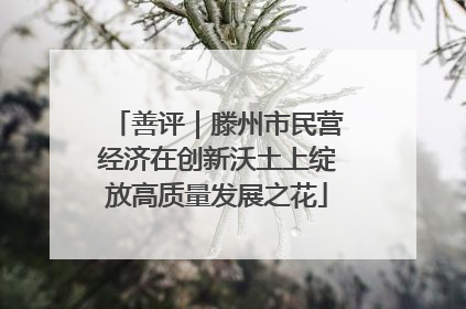 善评｜滕州市民营经济在创新沃土上绽放高质量发展之花