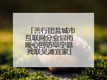 善行团盐城市互联网分会冒雨暖心回访阜宁县残联吴滩宜家