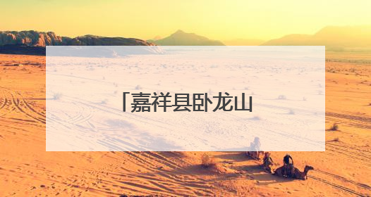 嘉祥县卧龙山街道开展医保政策宣传活动