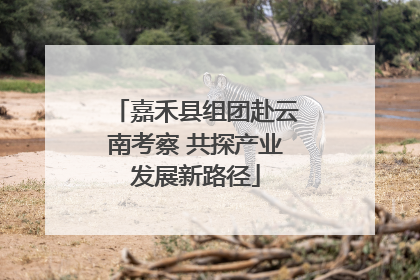 嘉禾县组团赴云南考察 共探产业发展新路径