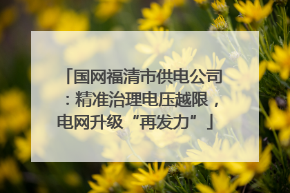 国网福清市供电公司：精准治理电压越限，电网升级“再发力”