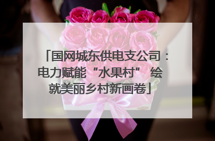 国网城东供电支公司：电力赋能“水果村” 绘就美丽乡村新画卷