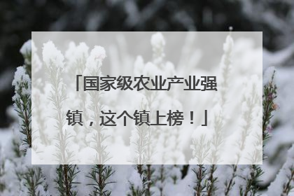 国家级农业产业强镇，这个镇上榜！