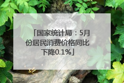 国家统计局：5月份居民消费价格同比下降0.1%