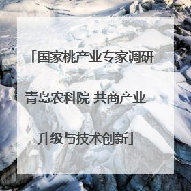 国家桃产业专家调研青岛农科院 共商产业升级与技术创新