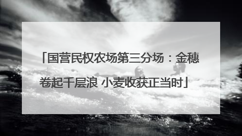 国营民权农场第三分场：金穗卷起千层浪 小麦收获正当时