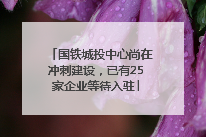 国铁城投中心尚在冲刺建设，已有25家企业等待入驻