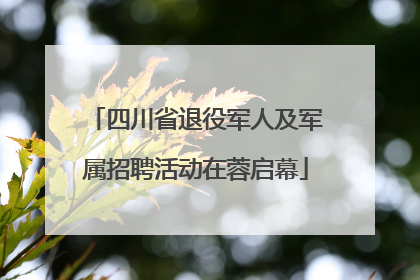 四川省退役军人及军属招聘活动在蓉启幕