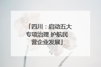 四川：启动五大专项治理 护航民营企业发展