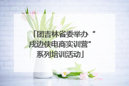 团吉林省委举办“戍边侠电商实训营”系列培训活动