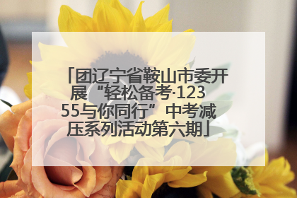 团辽宁省鞍山市委开展“轻松备考·12355与你同行”中考减压系列活动第六期