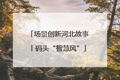 场景创新河北故事丨码头“智慧风”