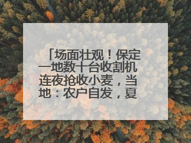 场面壮观！保定一地数十台收割机连夜抢收小麦，当地：农户自发，夏收工作基本完成