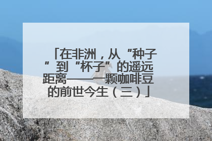 在非洲，从“种子”到“杯子”的遥远距离——一颗咖啡豆的前世今生（三）