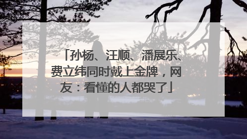 孙杨、汪顺、潘展乐、费立纬同时戴上金牌，网友：看懂的人都哭了