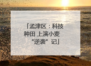 孟津区：科技种田 上演小麦“逆袭”记
