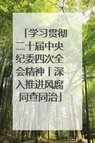 学习贯彻二十届中央纪委四次全会精神丨深入推进风腐同查同治
