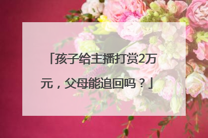 孩子给主播打赏2万元，父母能追回吗？