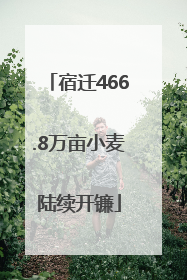 宿迁466.8万亩小麦陆续开镰
