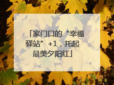 家门口的“幸福驿站”+1，托起最美夕阳红