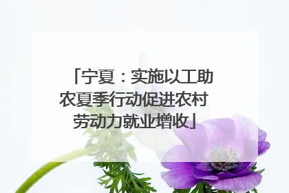 宁夏：实施以工助农夏季行动促进农村劳动力就业增收