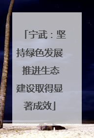 宁武：坚持绿色发展 推进生态建设取得显著成效