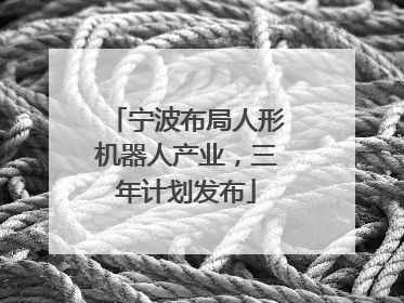 宁波布局人形机器人产业，三年计划发布