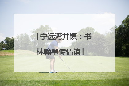 宁远湾井镇：书林翰墨传情谊