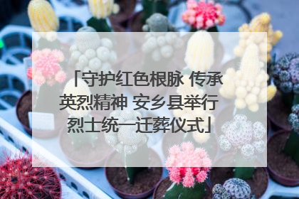 守护红色根脉 传承英烈精神 安乡县举行烈士统一迁葬仪式