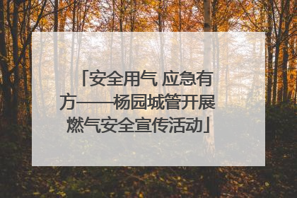 安全用气 应急有方——杨园城管开展燃气安全宣传活动