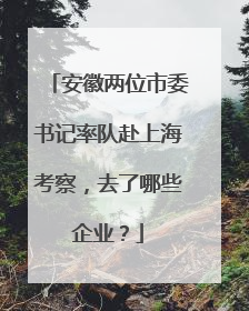 安徽两位市委书记率队赴上海考察，去了哪些企业？