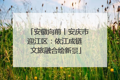 安徽向前丨安庆市迎江区：依江成链 文旅融合绘新景