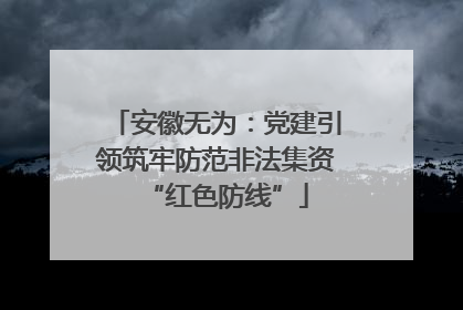 安徽无为：党建引领筑牢防范非法集资“红色防线”