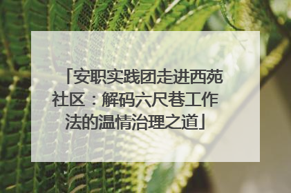 安职实践团走进西苑社区：解码六尺巷工作法的温情治理之道