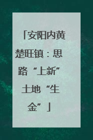 安阳内黄楚旺镇：思路“上新” 土地“生金”