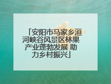 安阳市马家乡洹河峡谷风景区林果产业蓬勃发展 助力乡村振兴