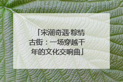 宋潮奇遇·粽情古街：一场穿越千年的文化交响曲