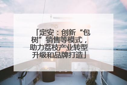 定安：创新“包树”销售等模式，助力荔枝产业转型升级和品牌打造