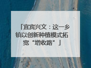 宜宾兴文：这一乡镇以创新种植模式拓宽“增收路”