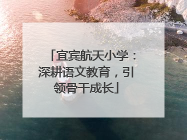 宜宾航天小学：深耕语文教育，引领骨干成长