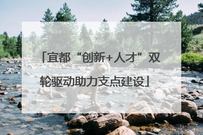 宜都“创新+人才”双轮驱动助力支点建设